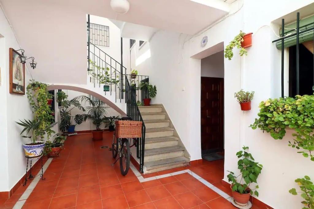 Kinahouse Leilighet Córdoba Eksteriør bilde